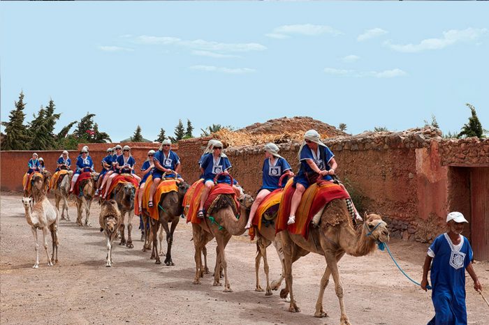 BALADE DROMADAIRE MARRAKECH